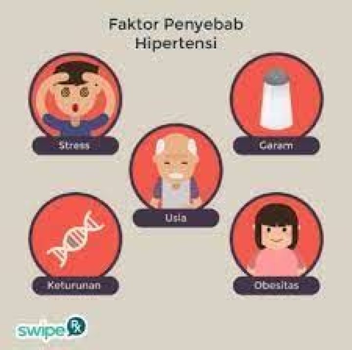 Apa creatine itu berbahaya?