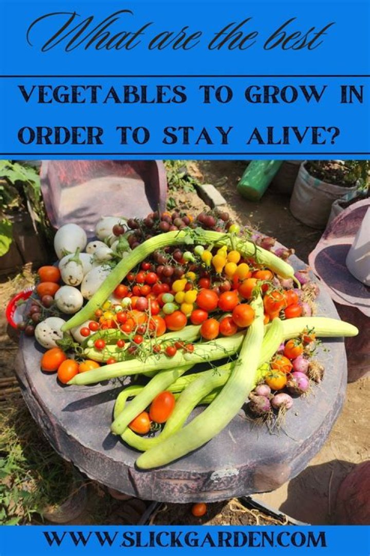 Are vegetables alive when eaten?