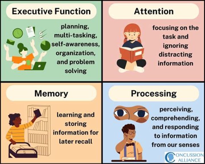 Can PTSD cause executive dysfunction?