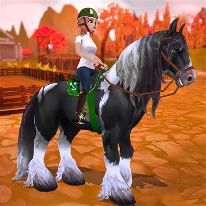 Can you download horse riding tales on a computer?