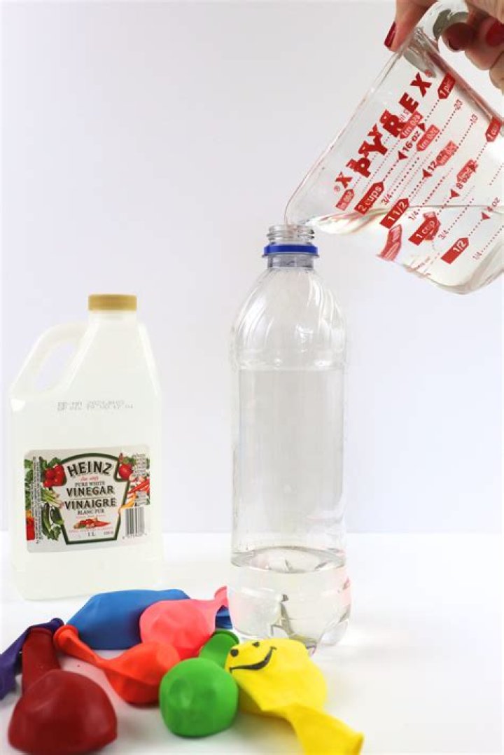 Can you put vinegar in dog's water?