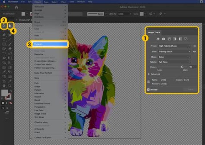 Can you use Illustrator online?