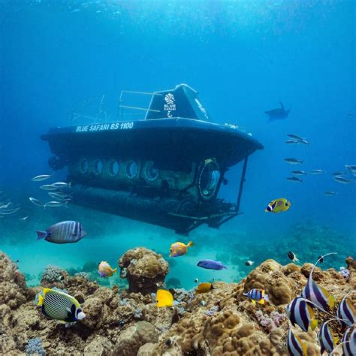 Did Das Boot use a real submarine?
