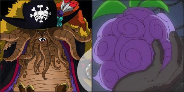 Does APOO have a devil fruit?