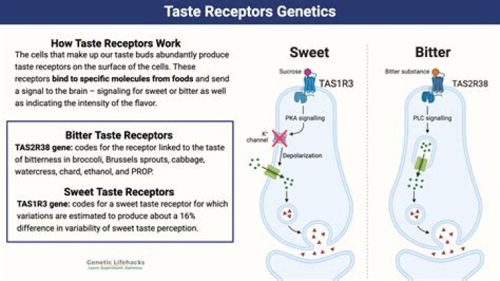 Does cancer affect taste buds?