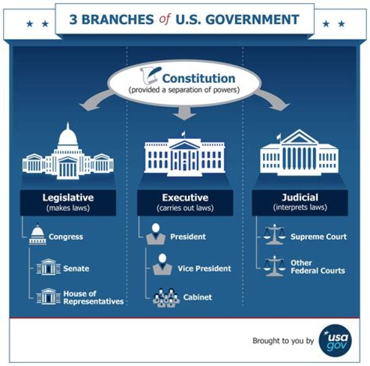 Does Congress make federal laws?