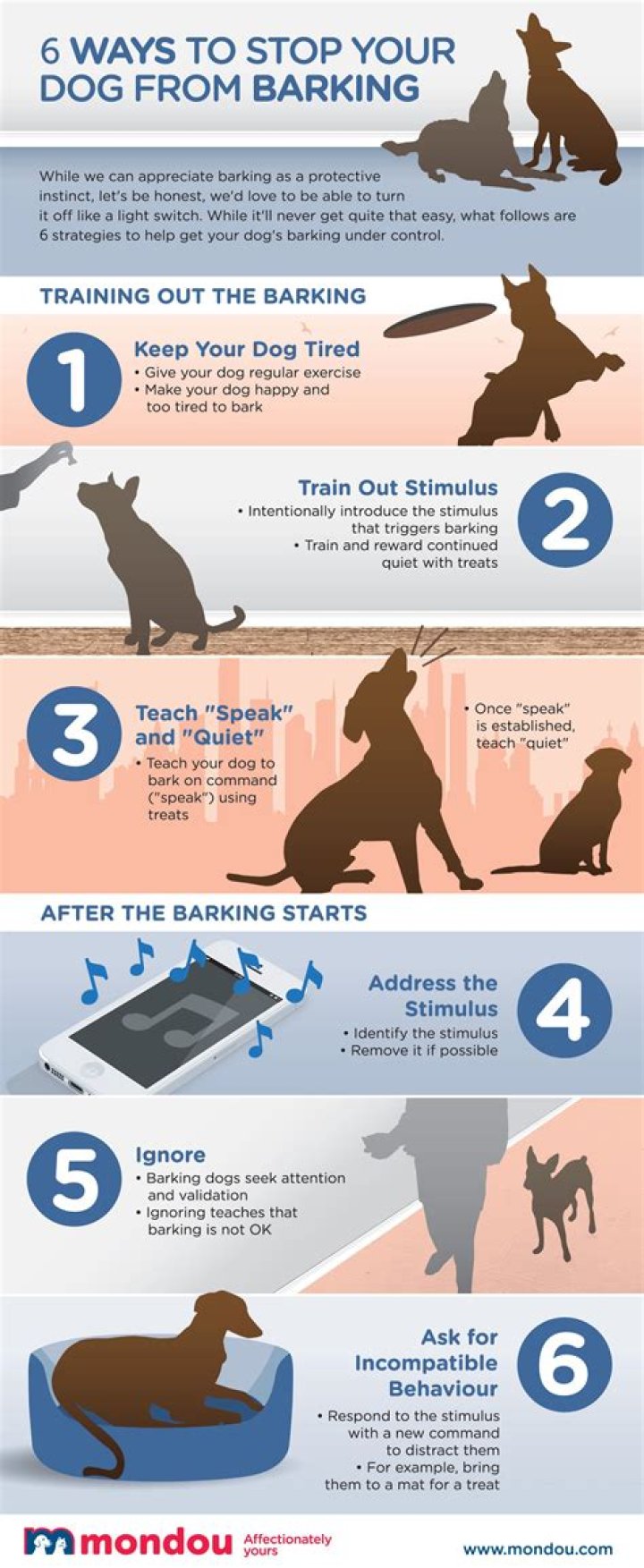 How can I stop my dog from killing birds?