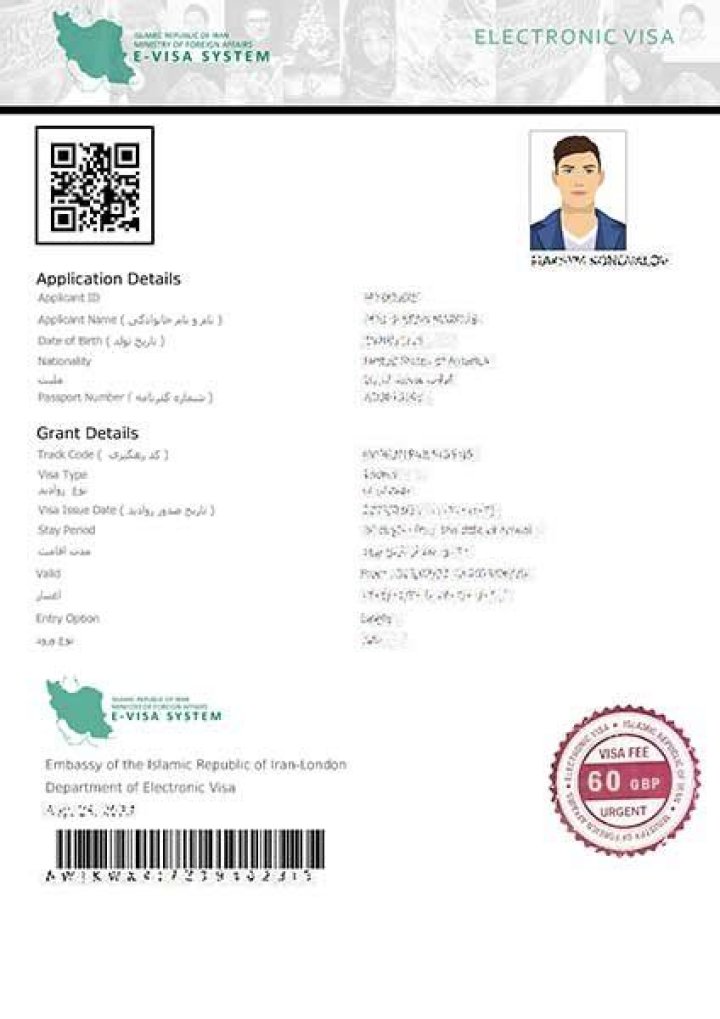 How do I check my Iran E visa?
