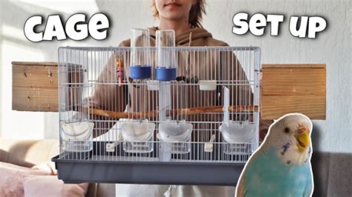 How do I cover my budgie cage at night?