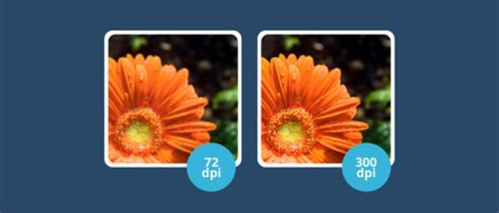 How do I find the DPI of a photo on my Iphone?