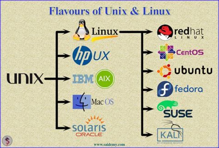 How do I find the OS version on a UNIX server?