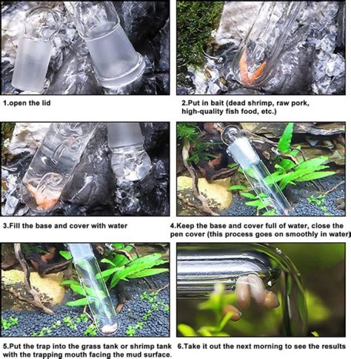 How do I get rid of my dog I don't want?