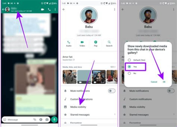 How do I save WhatsApp media to gallery on Android?