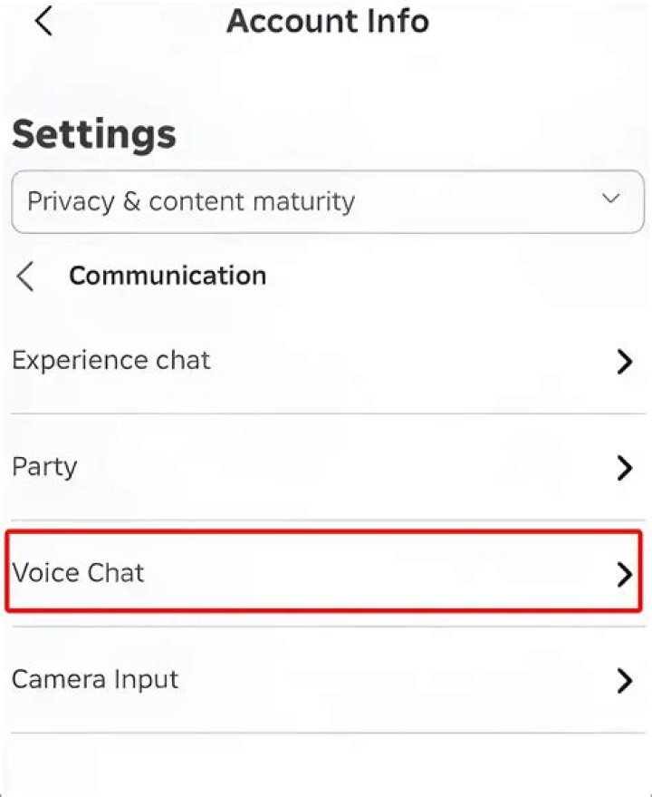 How do I turn off voice chat on Steam?