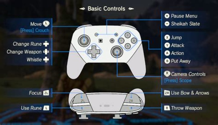 How do you change controls on Nintendo switch?