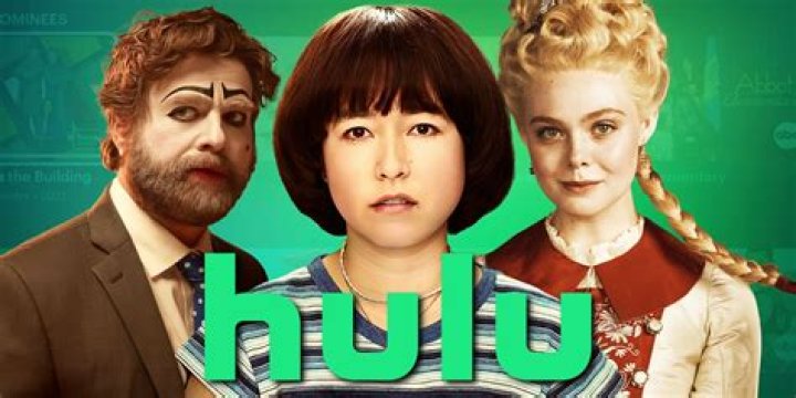 How do you delete shows you watch on Hulu?