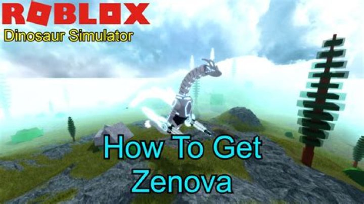 How do you get a zenova Dino SIM?