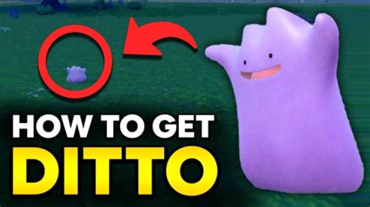 How do you get ditto in Oras?