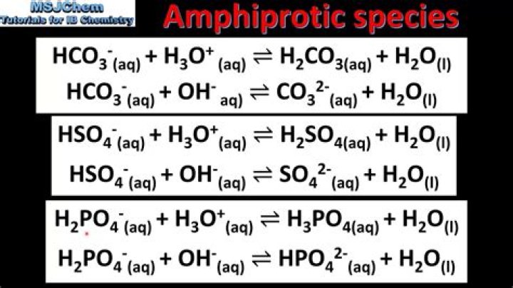 How do you know if a compound is Amphiprotic?