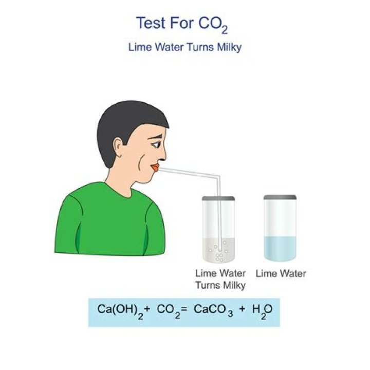 How do you test for carbon dioxide in the air?