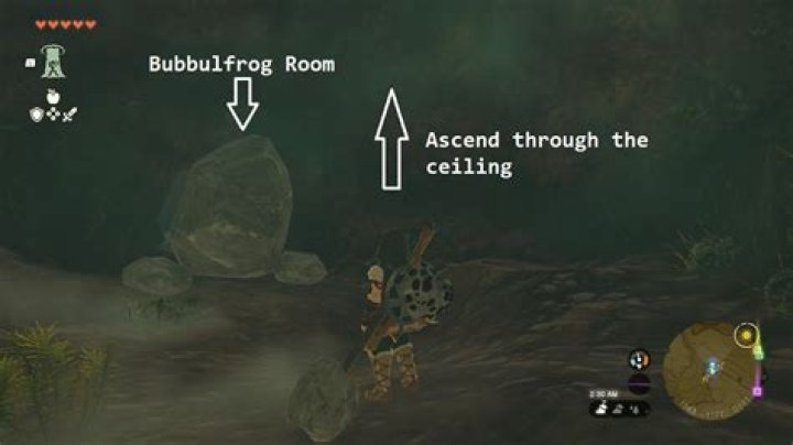 How do you unlock the toads rec room?