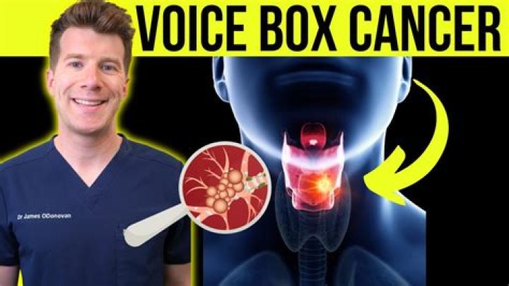 How does a voice box machine work?