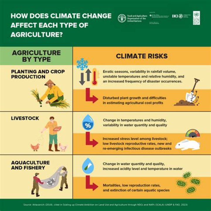 How does inhumane farming affect animals?