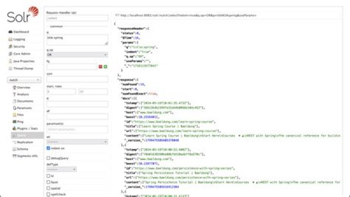 How does Solr query work?