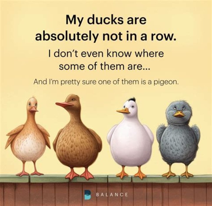How many ducks are in a row?