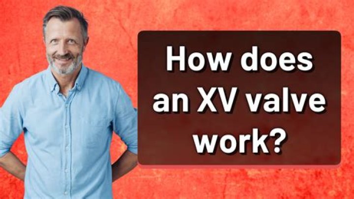 How many is XV?