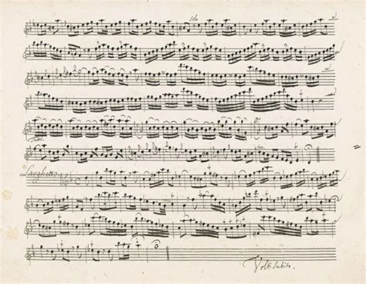 How many pieces of music did Franz Schubert compose?