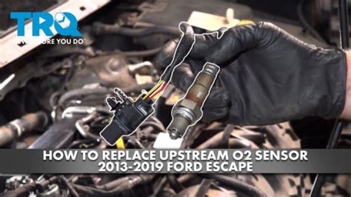 How many quarts of oil does a 2014 Ford Escape take?