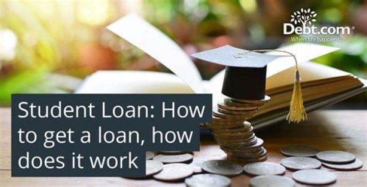 How many student loans can you get NZ?