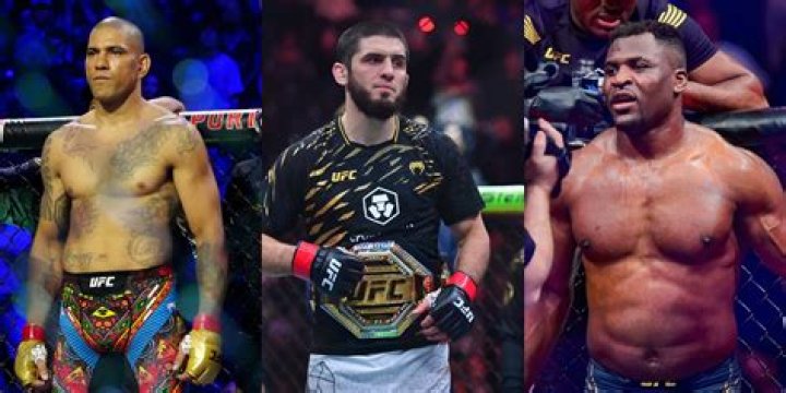 How many UFC fighters are there 2020?