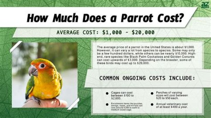 How much does a BWCA permit cost?