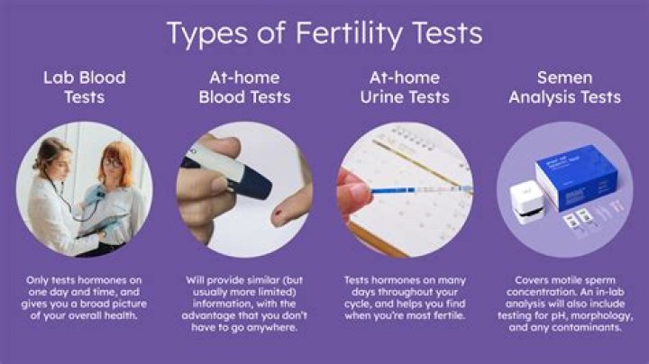 How much does a fertility test cost in South Africa?