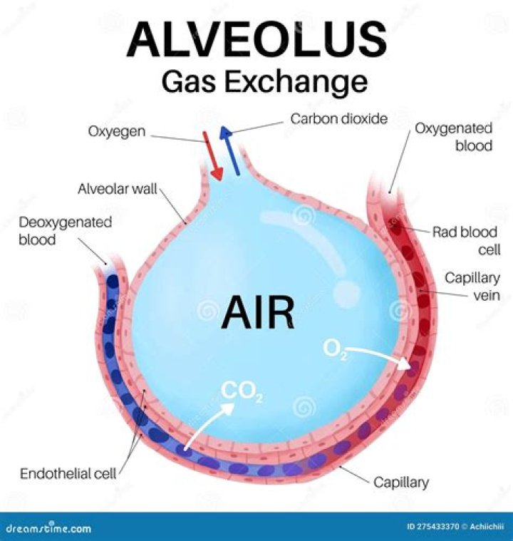 Is air a gas gas solution?