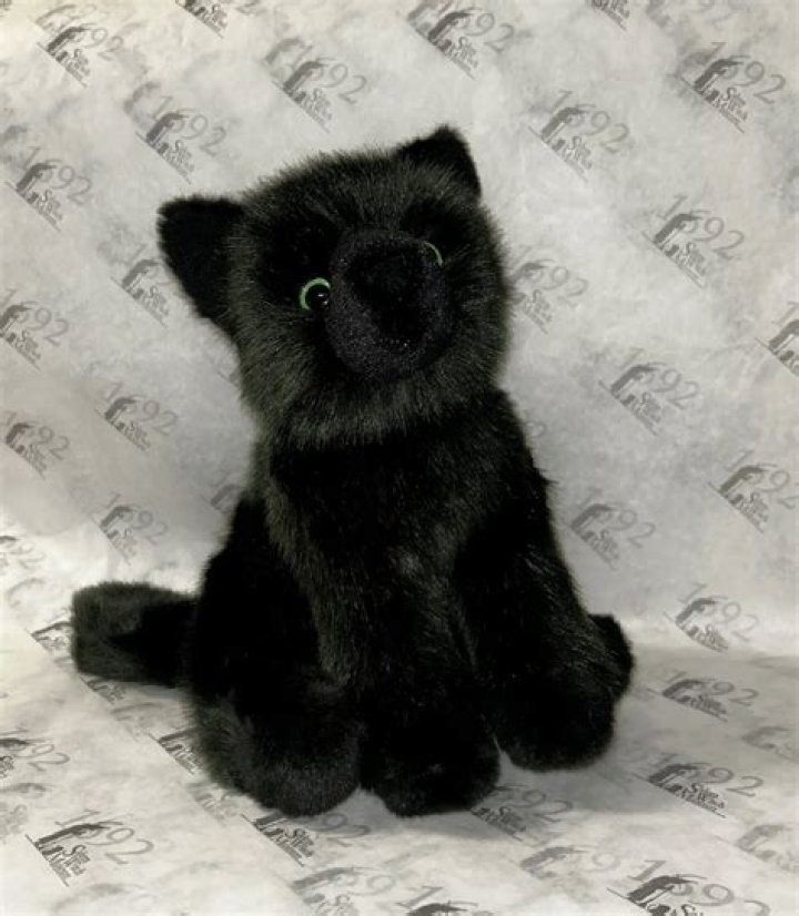 Is Ambrose Salem the cat?