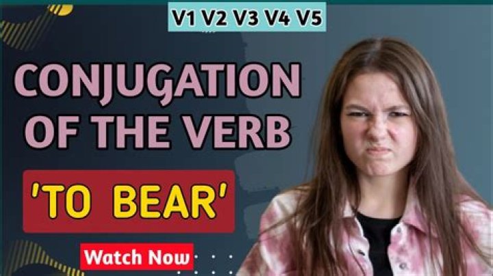 Is bear a verb or noun?