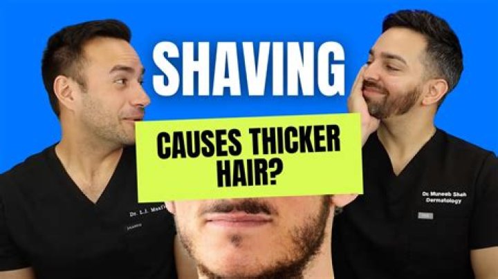 Is cat skin thicker than human skin?