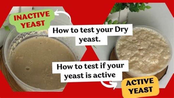 Is eating yeast dangerous?