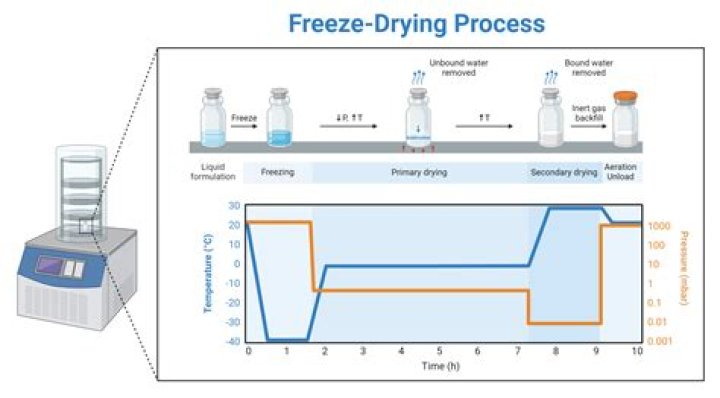 Is it better to freeze or can corn?