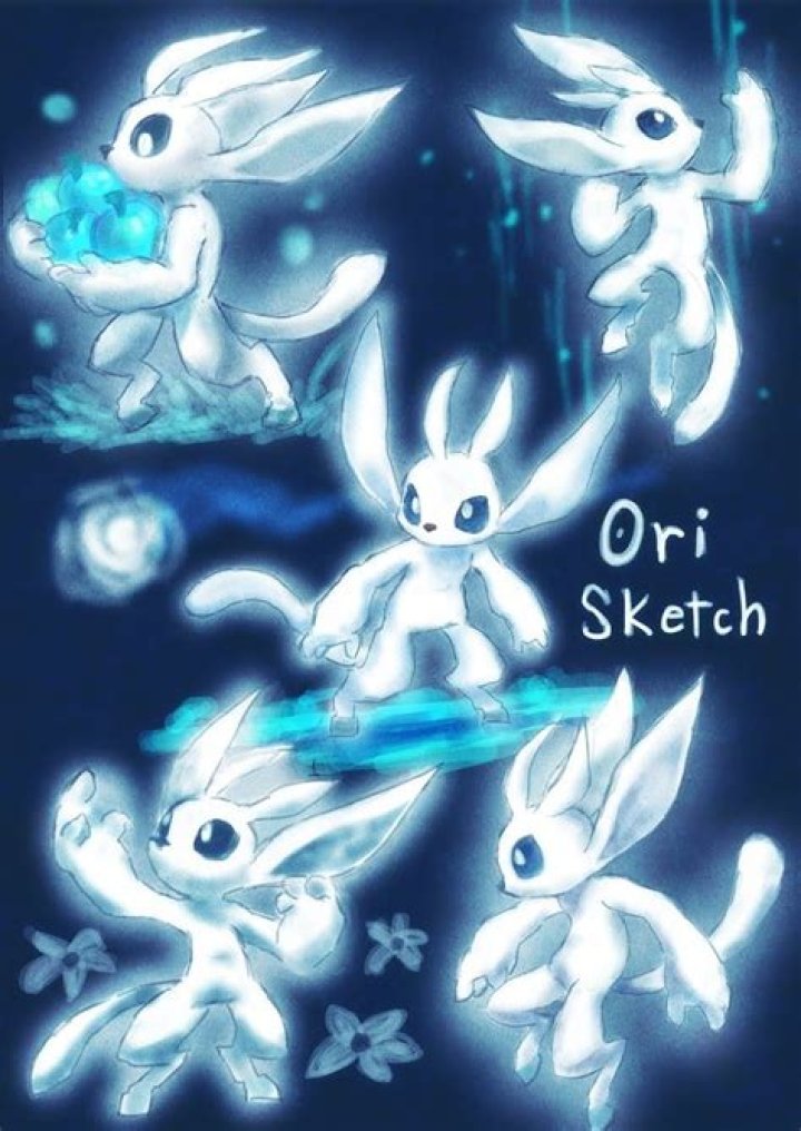 Is ori a girl or a boy?