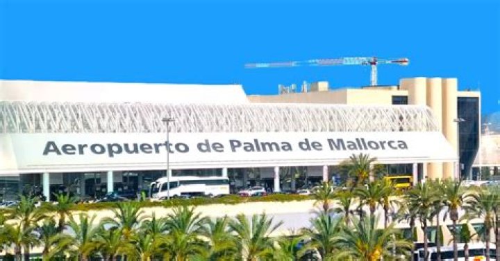 Is Palma Duty Free Open?