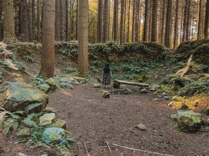 Is tollymore forest free?
