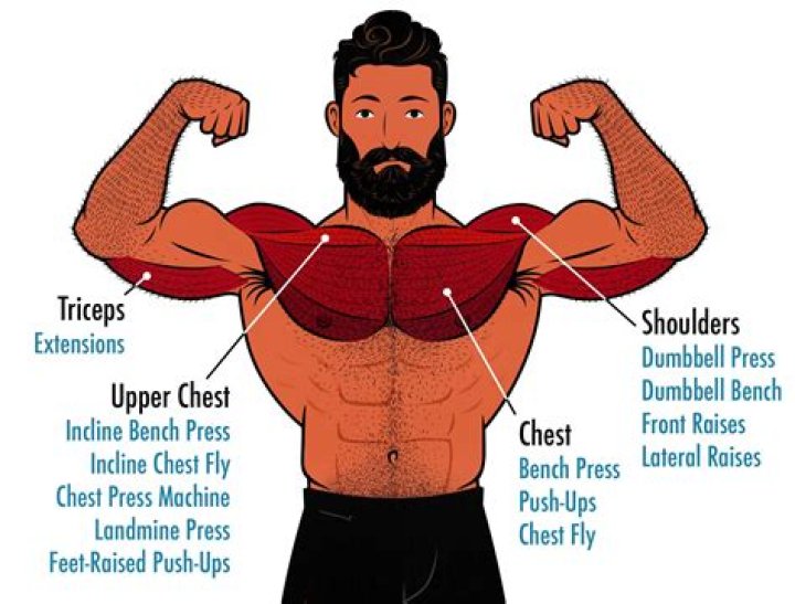 Is upper chest hard to build?