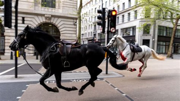 Is War Horse still playing in London?