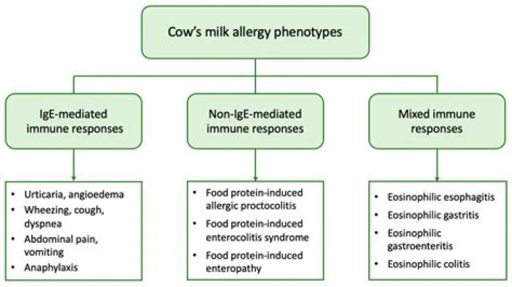 Is whey protein safe for dairy allergies?