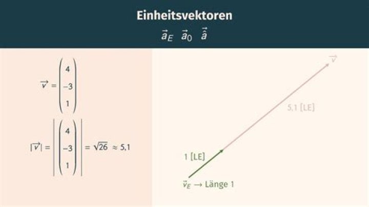 Was ist ein Vektor Format?