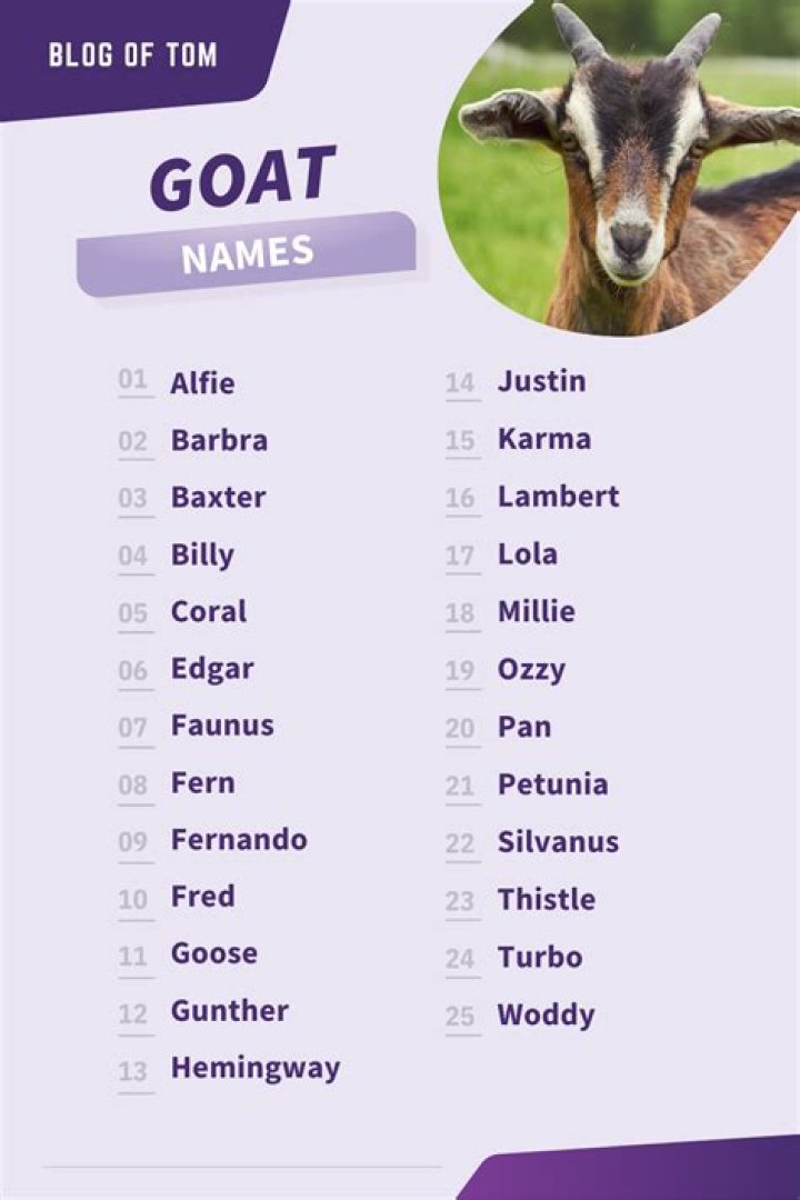 What are other names for goats?
